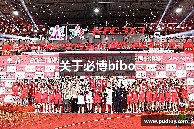 关于必博bibo